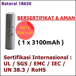 battery-3100-01